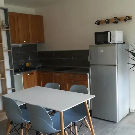 Beau Avec Balcon, Vue Piscine, Parking Prive, Climatisation, Solarium, Laverie Lejlighed Agde